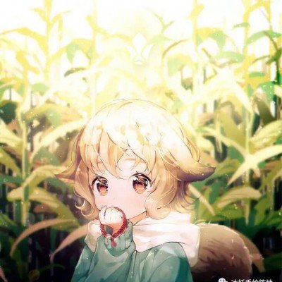 浪姐 背调